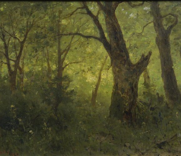 Wnętrze lasu Sidorowicz, Zygmunt (1846 - 1881)
