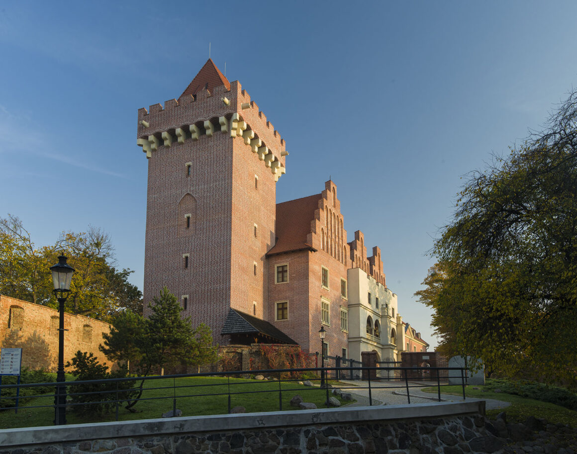 Badania archeologiczne w zamkowych piwnicach