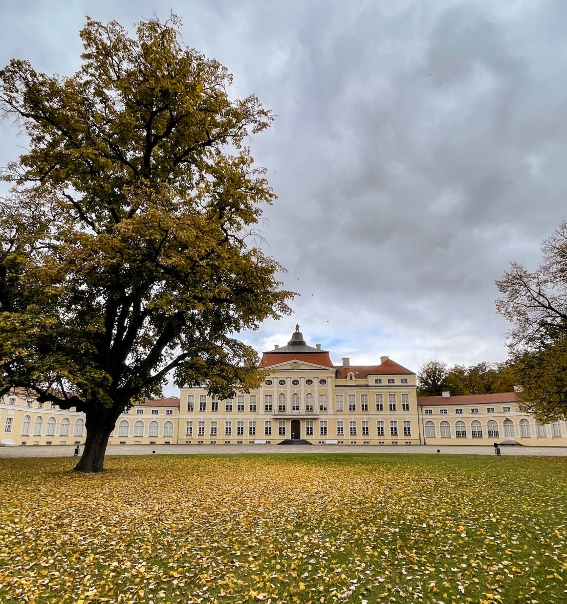 Od 23 października 2025 r. Muzeum Pałac w Rogalinie nieczynne dla zwiedzających