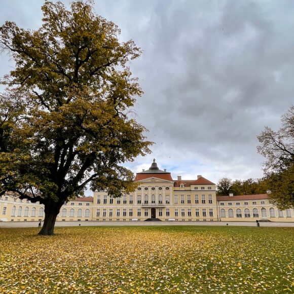 Od 23 października 2025 r. Muzeum Pałac w Rogalinie nieczynne dla zwiedzających