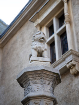 Fragment architektoniczny - kapitel kolumny z figurą lwa.